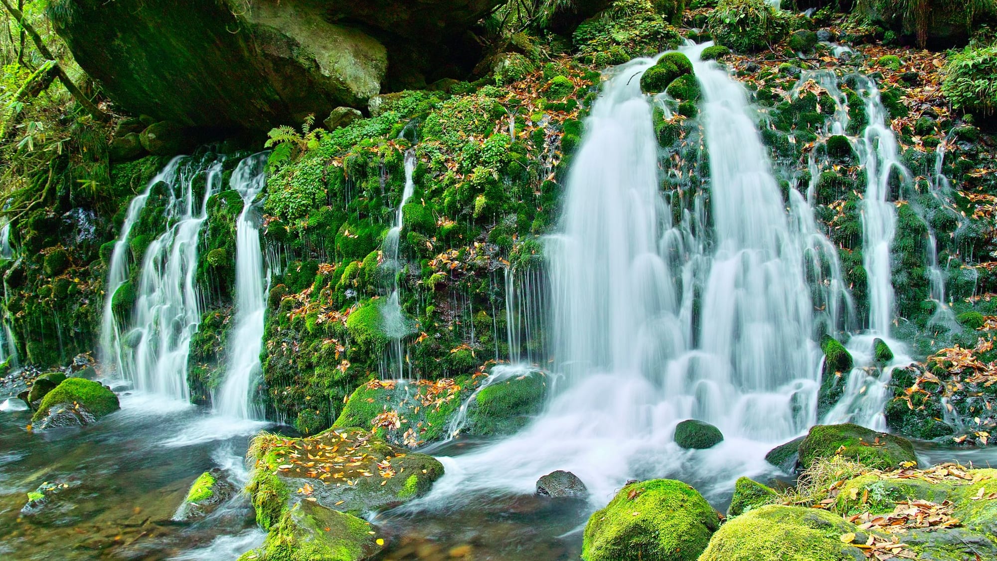 Why Water Source Matters For Your Holistic Healths - SageSistas