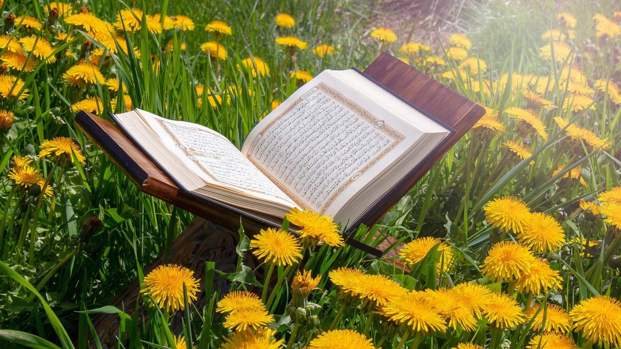 Healing Through The Quran With Female Quran Reciters - Sage Sistas